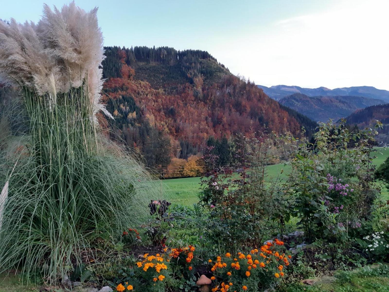 Willa Biobauernhof Poidlbauer Göstling an der Ybbs Zewnętrze zdjęcie